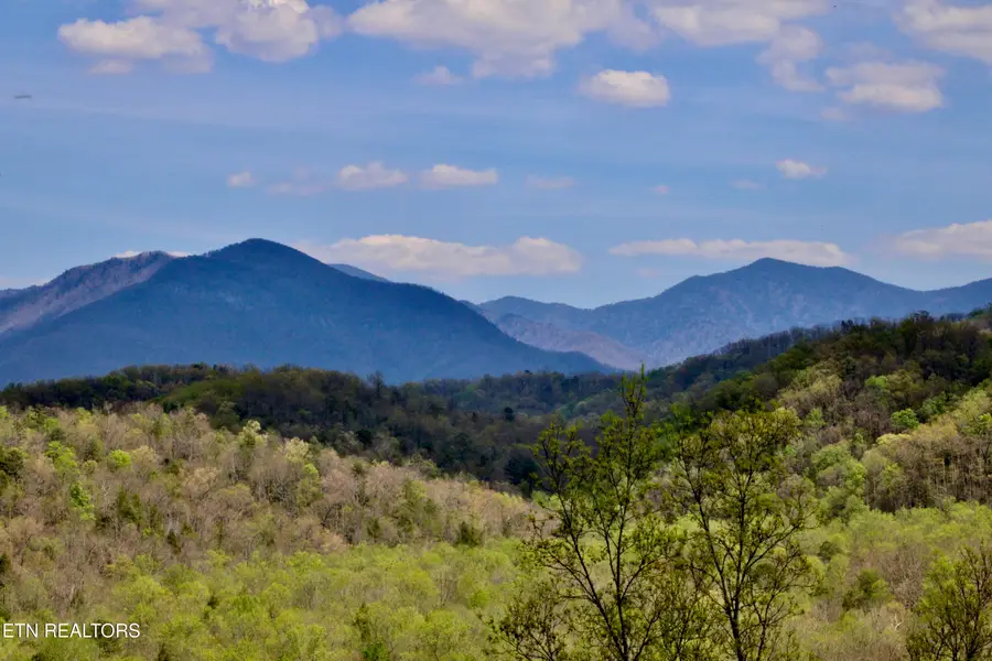224 Woodland Rd #UNIT 103, Gatlinburg, TN 37738 - #2
