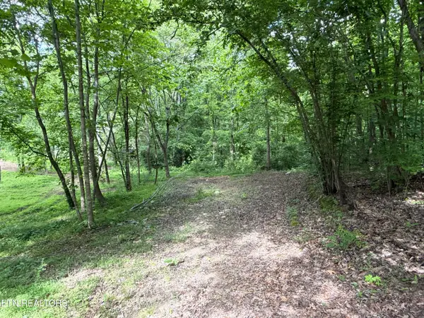 316 Wiley Town Rd, Newport, TN 37821