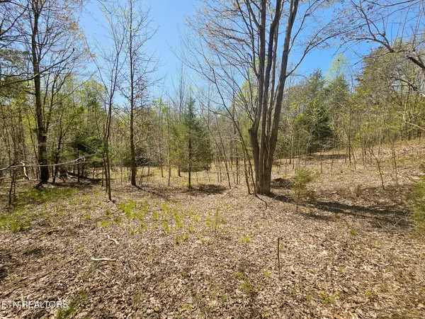170 Bluff View Rd, New Tazewell, TN 37825