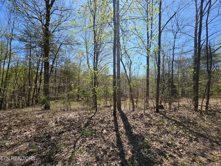 170 Bluff View Rd, New Tazewell, TN 37825 - #2