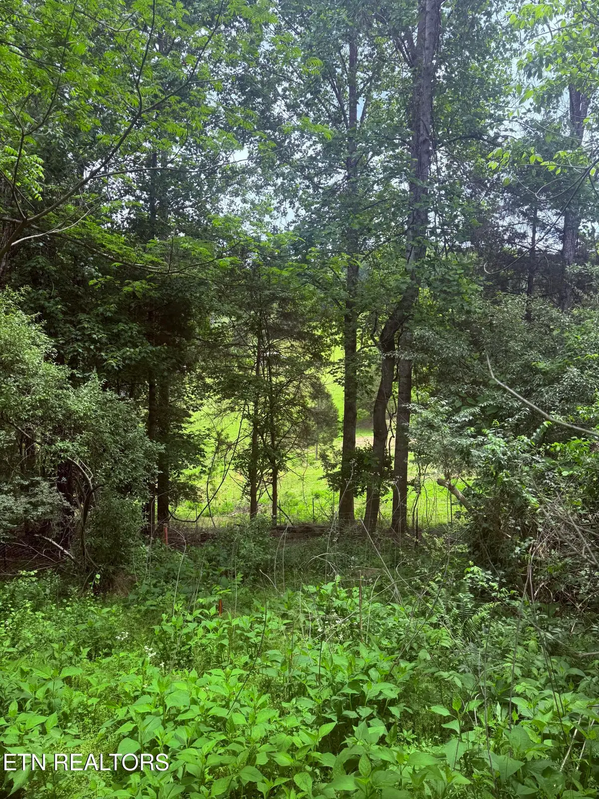 Chambers Rd, Jacksboro, TN 37757 - #1