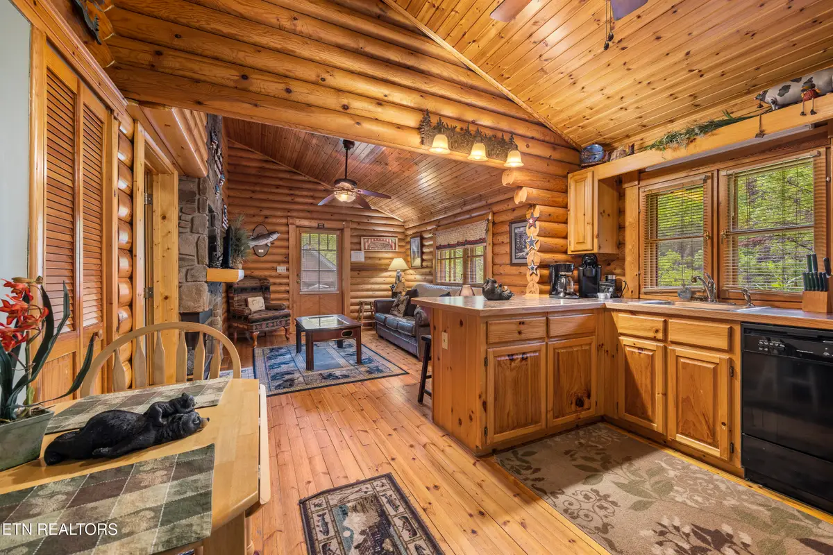 165 Smoky Mountain Way, Sevierville, TN 37876 - #1