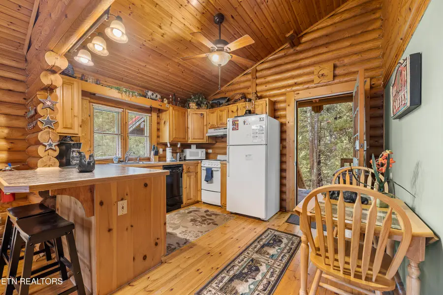 165 Smoky Mountain Way, Sevierville, TN 37876 - #3