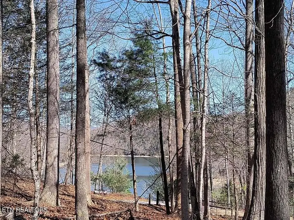 47 S Shorewood Drive, Caryville, TN 37714 - #1