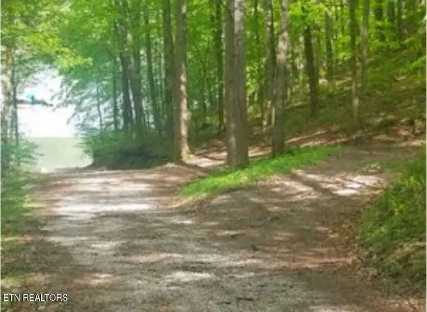 47 S Shorewood Drive, Caryville, TN 37714 - #3