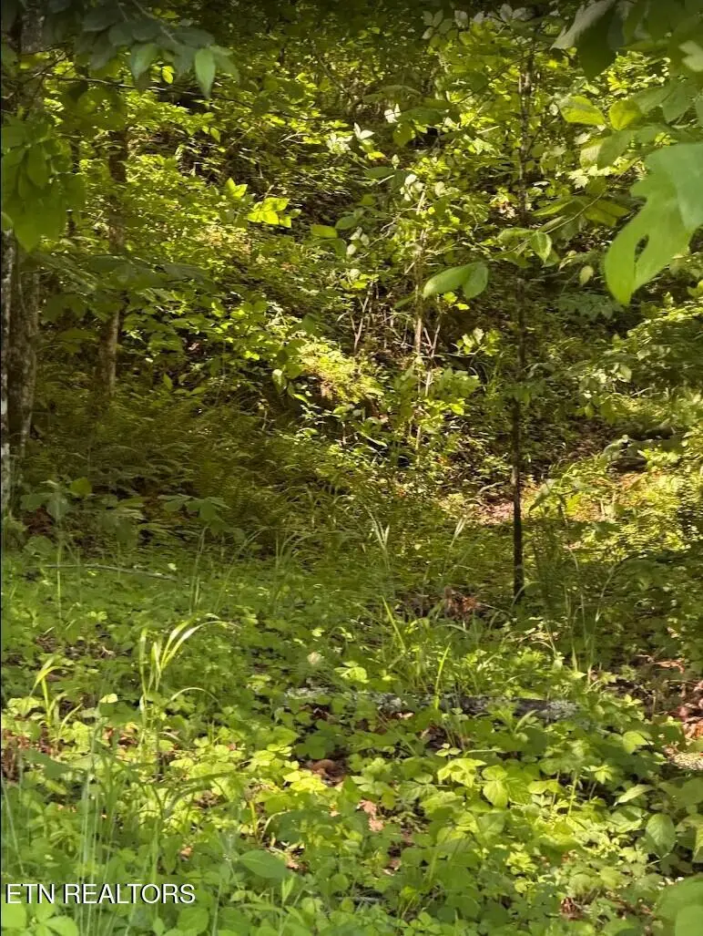 0 Spring Creek Rd, Cookeville, TN 38501 - #1