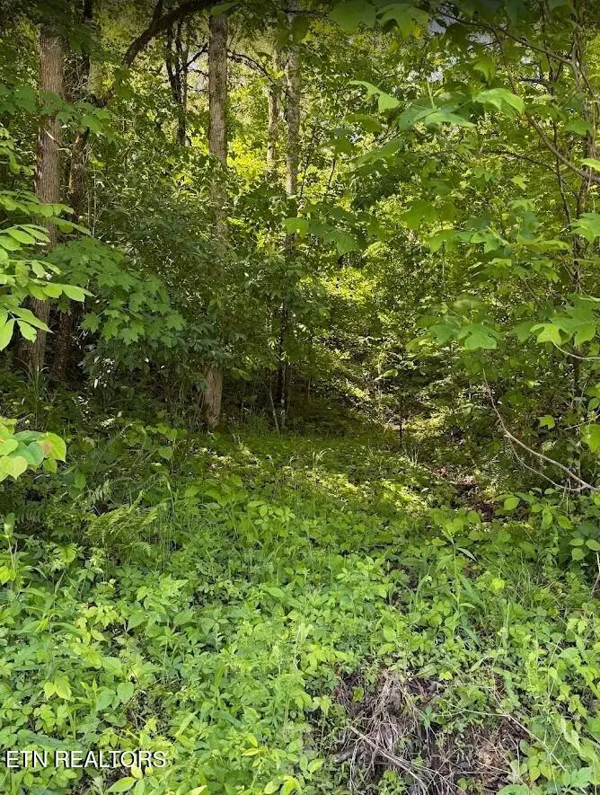 0 Spring Creek Rd, Cookeville, TN 38501 - #3