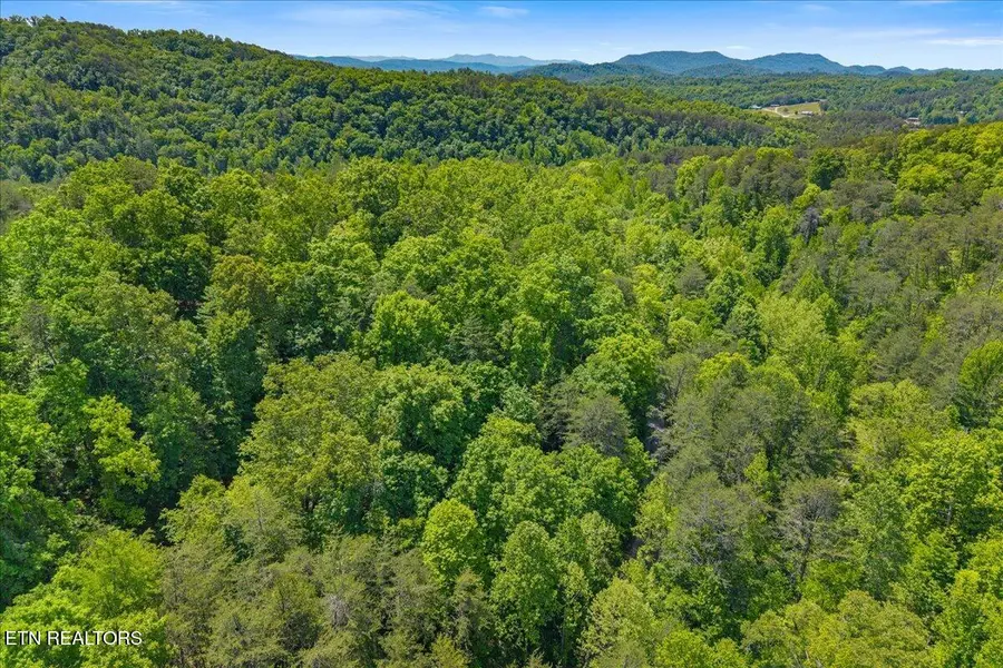 215 Citico Rd. Lot 1 Rd, Vonore, TN 37885 - #3