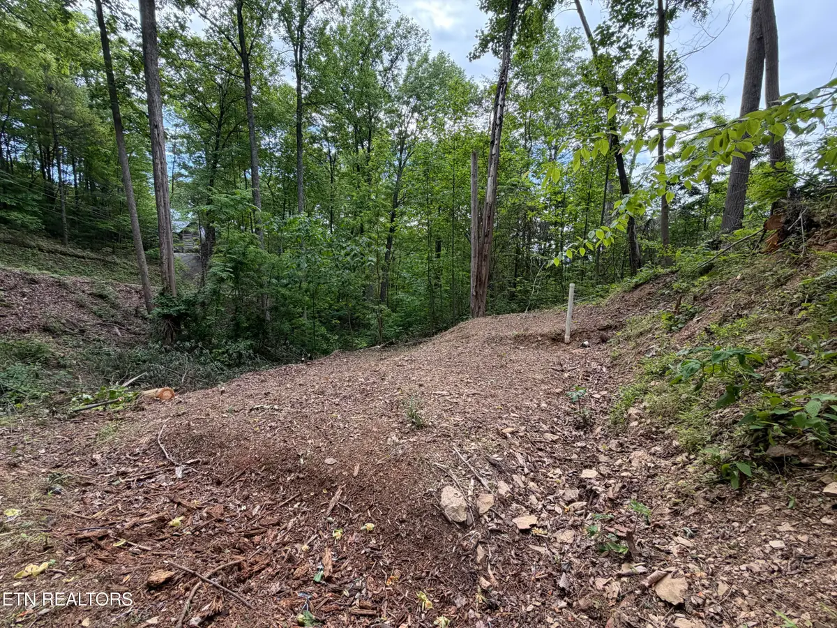 807 Old New Ground Rd, Gatlinburg, TN 37738 - #1