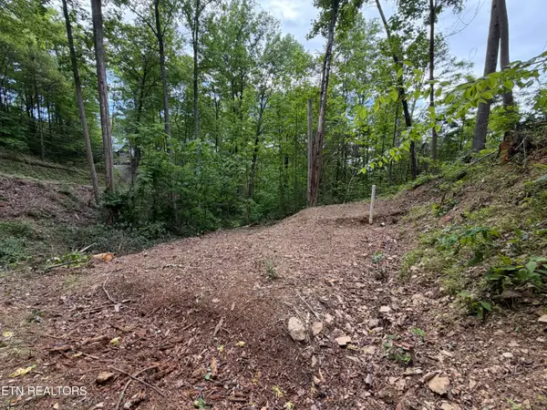 807 Old New Ground Rd, Gatlinburg, TN 37738