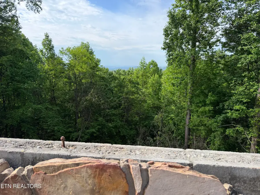 823 Kings Way, Gatlinburg, TN 37738 - #3