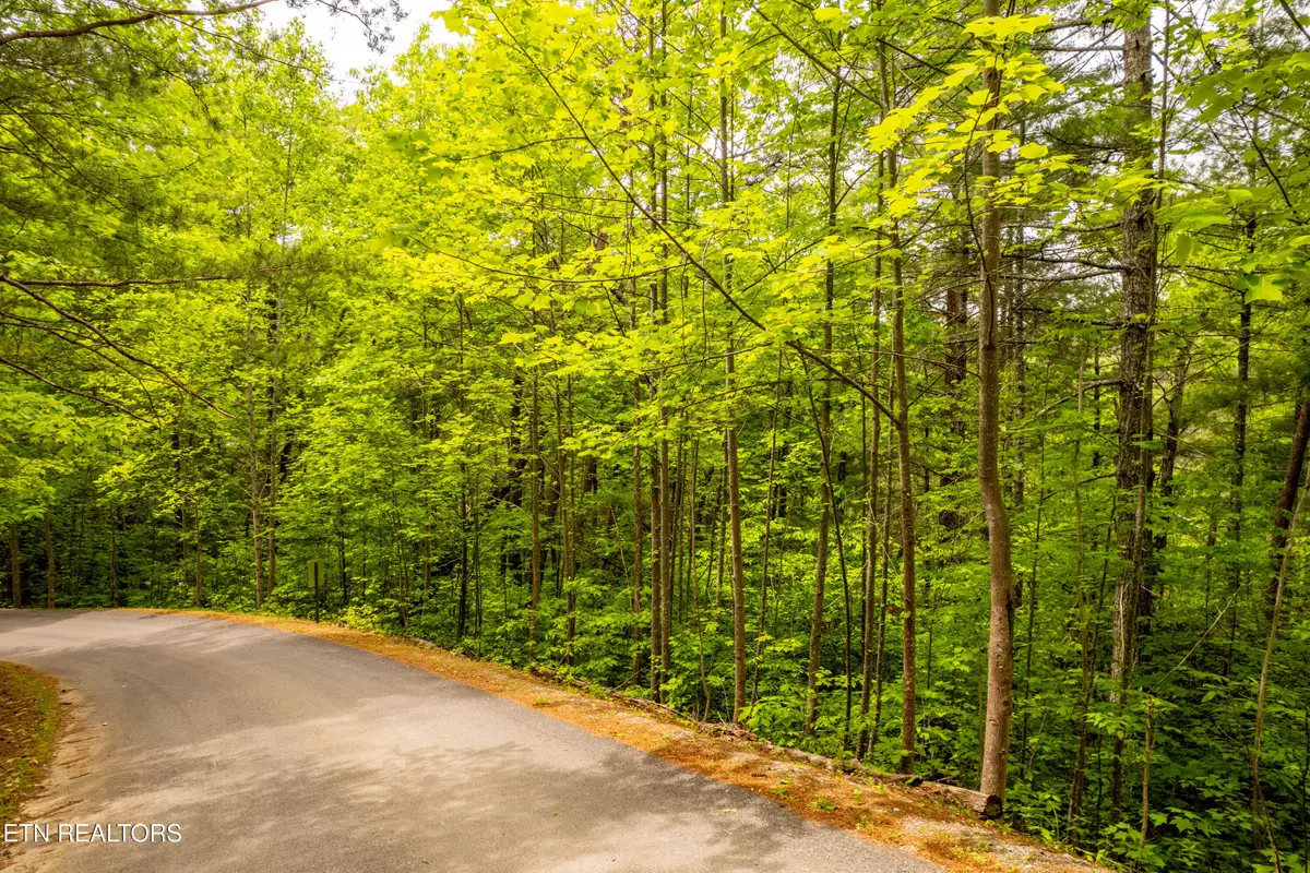 914 Stonegate Way, Townsend, TN 37882 - #1