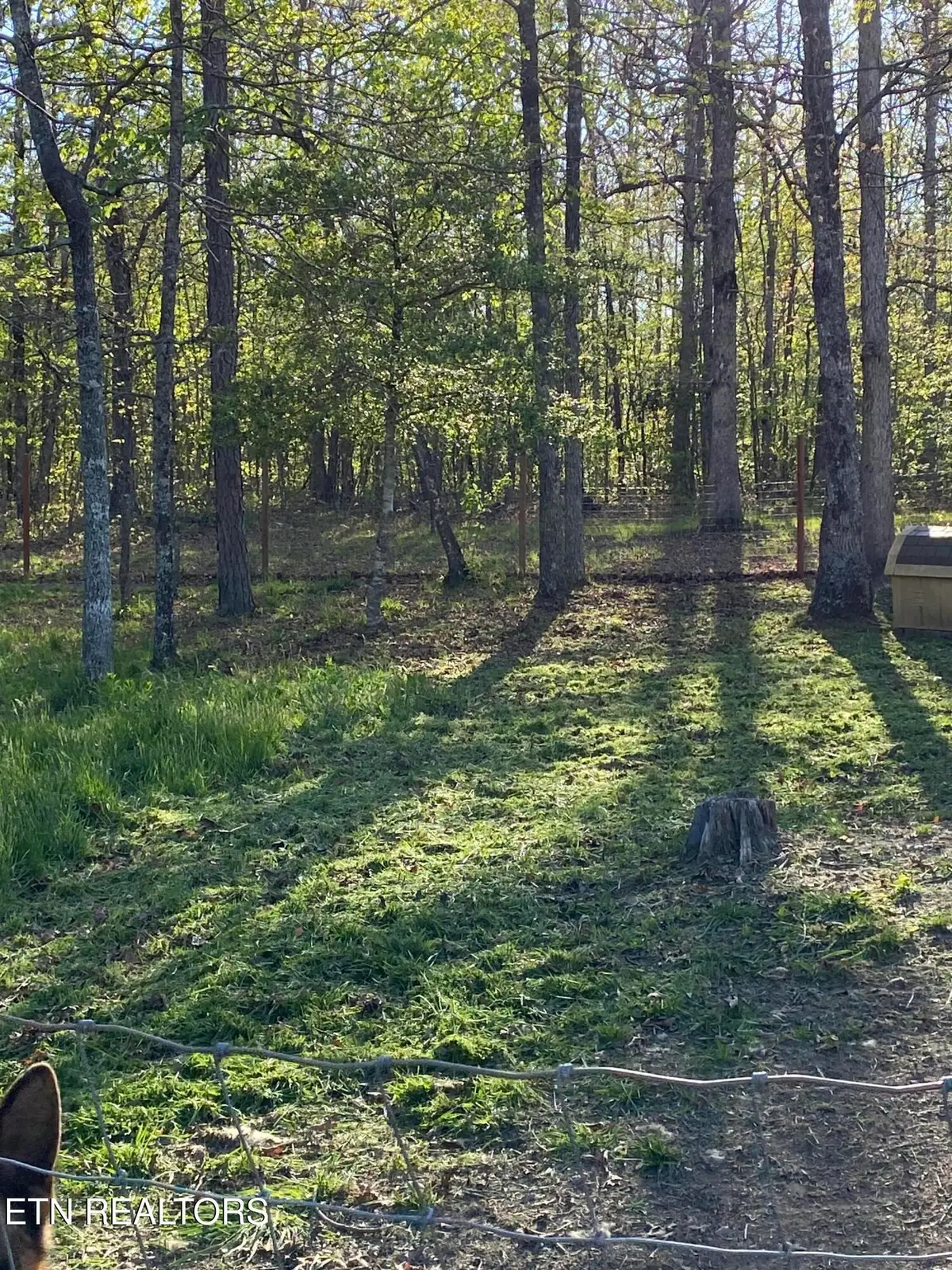 Westwind Rd, Crossville, TN 38572 - #1