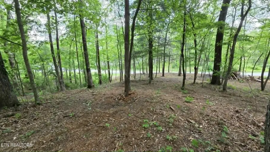 Lot 8 Keating Loop, Crossville, TN 38555 - #2
