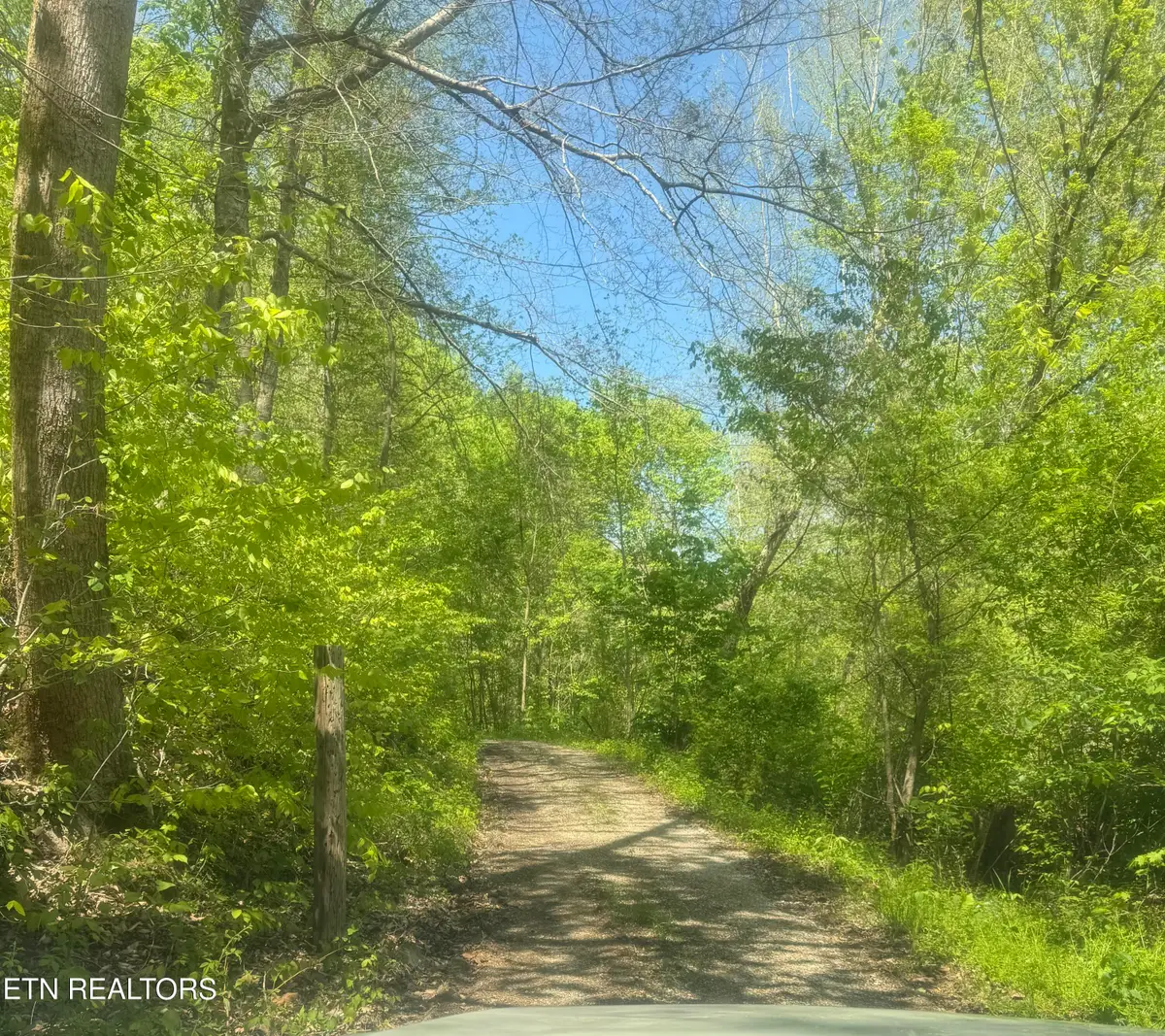 Anna Ln, Clairfield, TN 37715 - #1