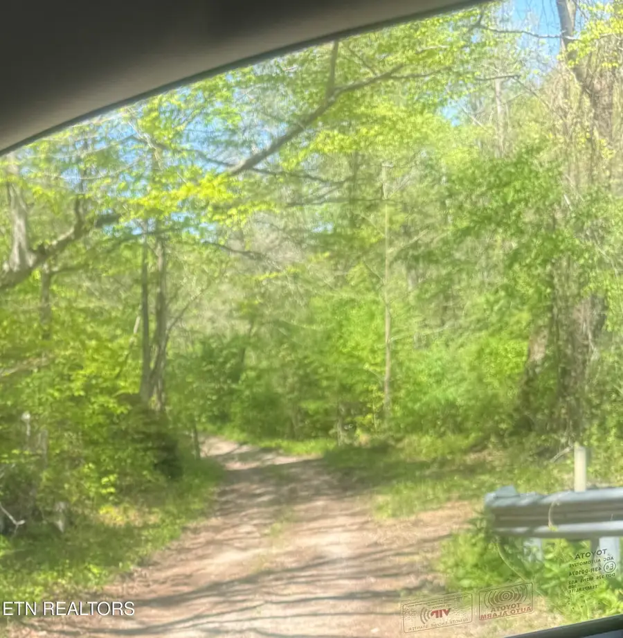 Anna Ln, Clairfield, TN 37715 - #2