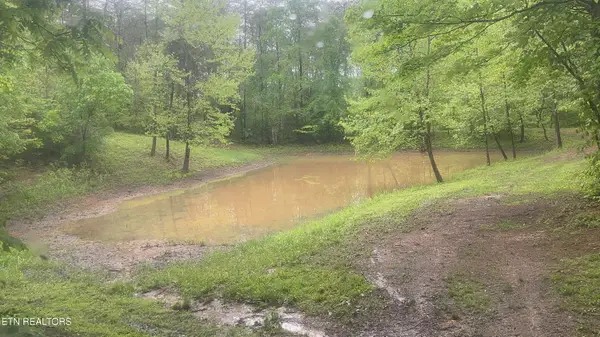 427 & 439 Thorngrove Pike, Kodak, TN 37764