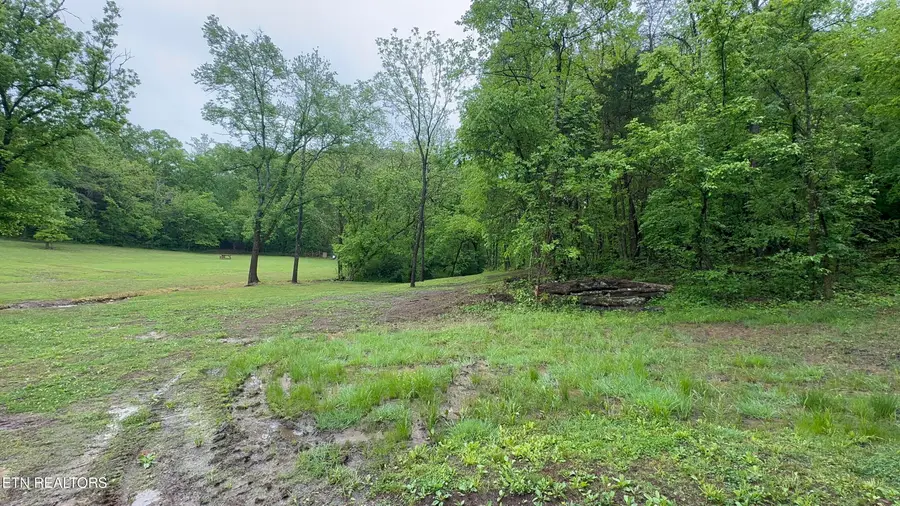 427 & 439 Thorngrove Pike, Kodak, TN 37764 - #2