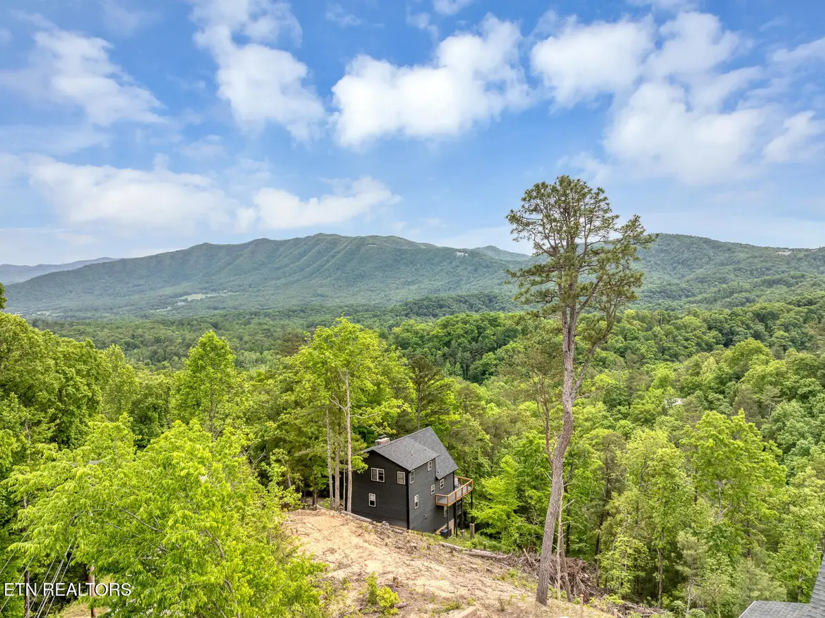 210 Cutter Gap Rd, Townsend, TN 37882 - #1