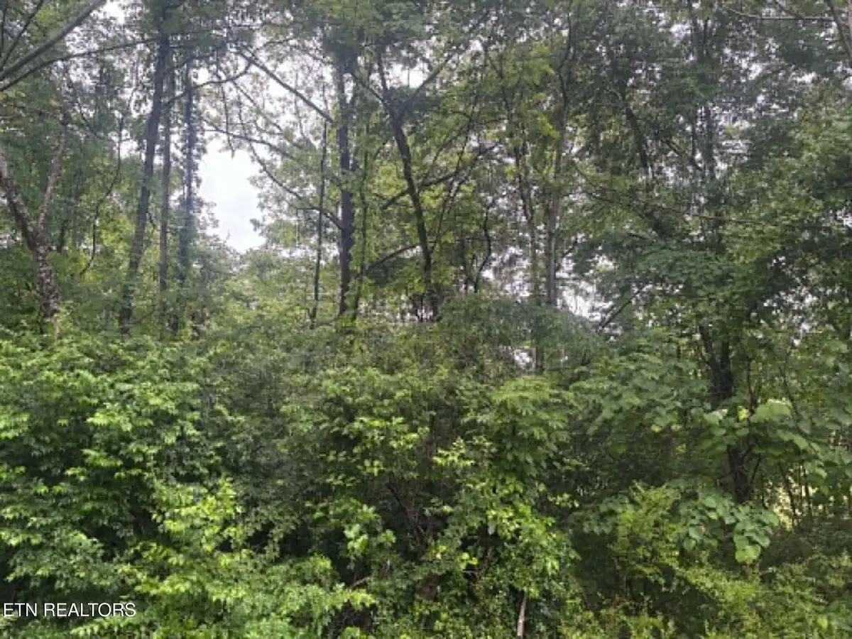 Brogan Lane, Tazewell, TN 37879 - #1