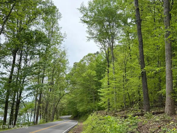 lots A&B Alder Springs Rd, LaFollette, TN 37766