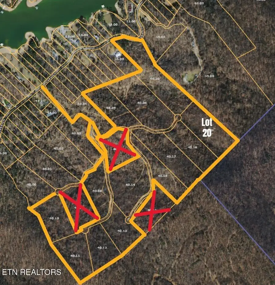 Lake Lane Lane #Lot 20, New Tazewell, TN 37825 - #1
