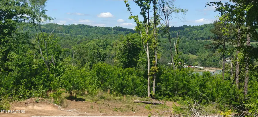Lake Lane #Lot  6, New Tazewell, TN 37825 - #3