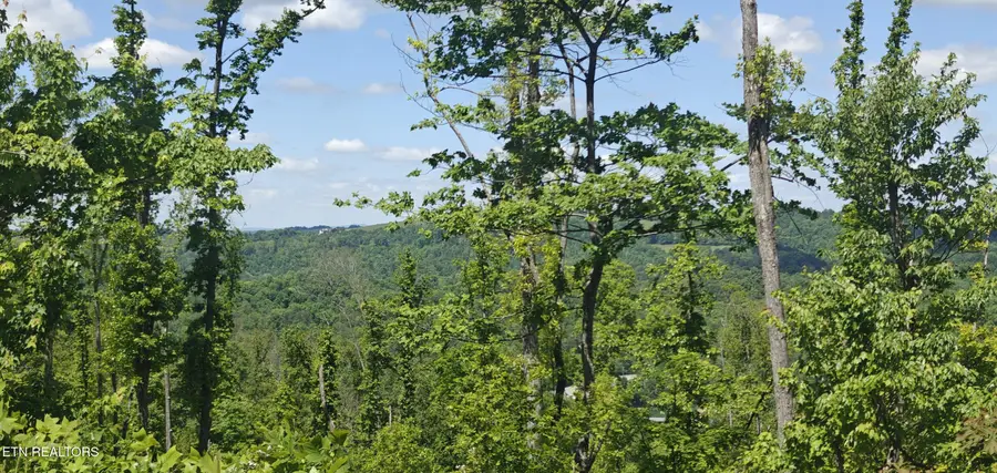 Lake Lane #Lot 7, New Tazewell, TN 37825 - #2