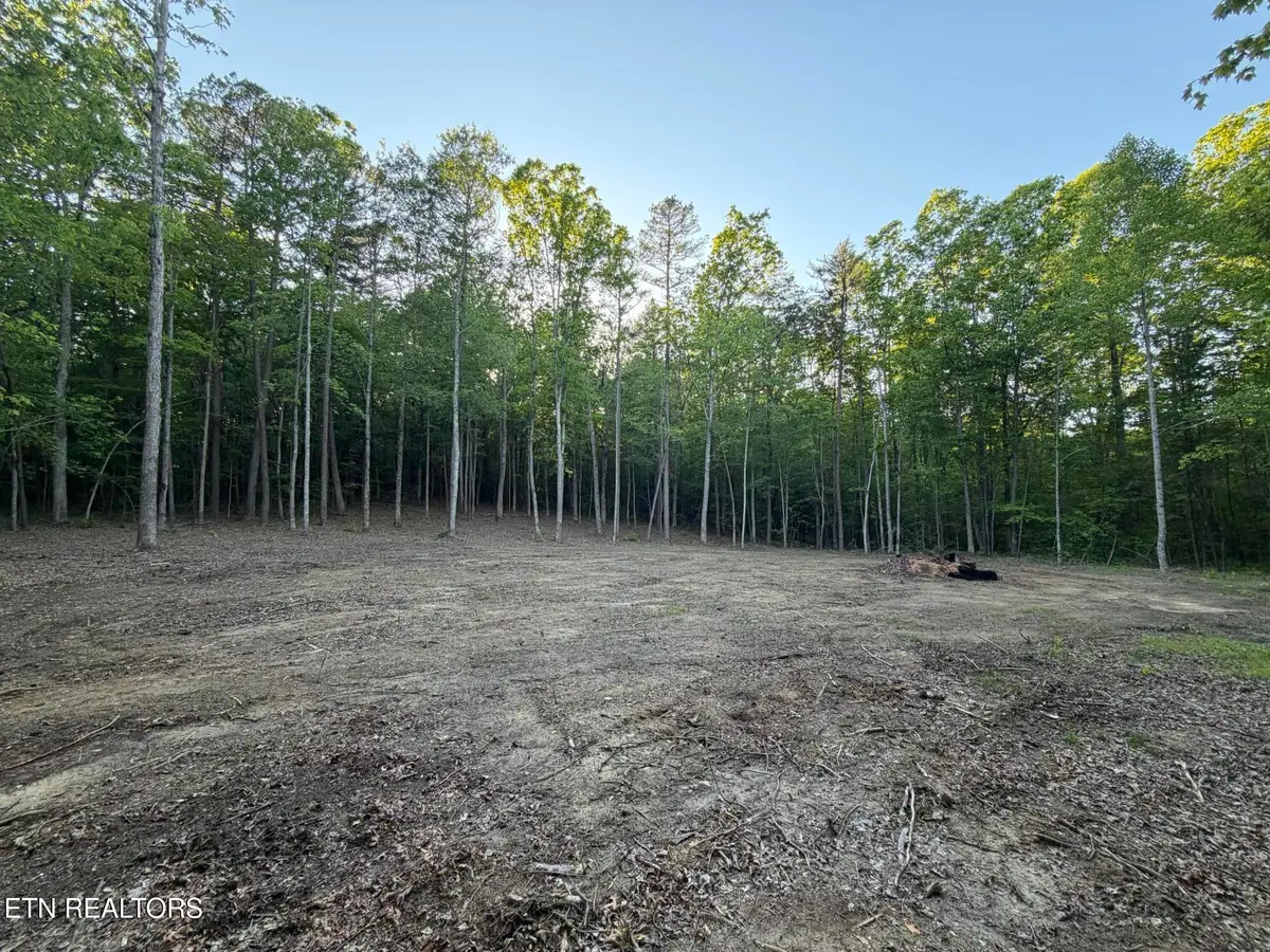 Long Branch Court, Allardt, TN 38504 - #1