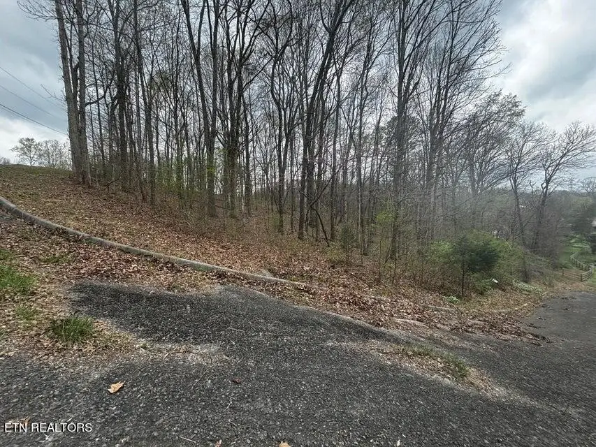 0000 Co Rd 197, Athens, TN 37303 - #2