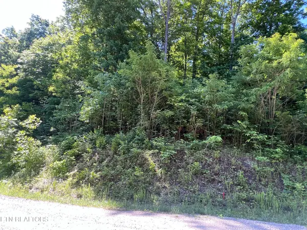 Apache Rd, Jamestown, TN 38556