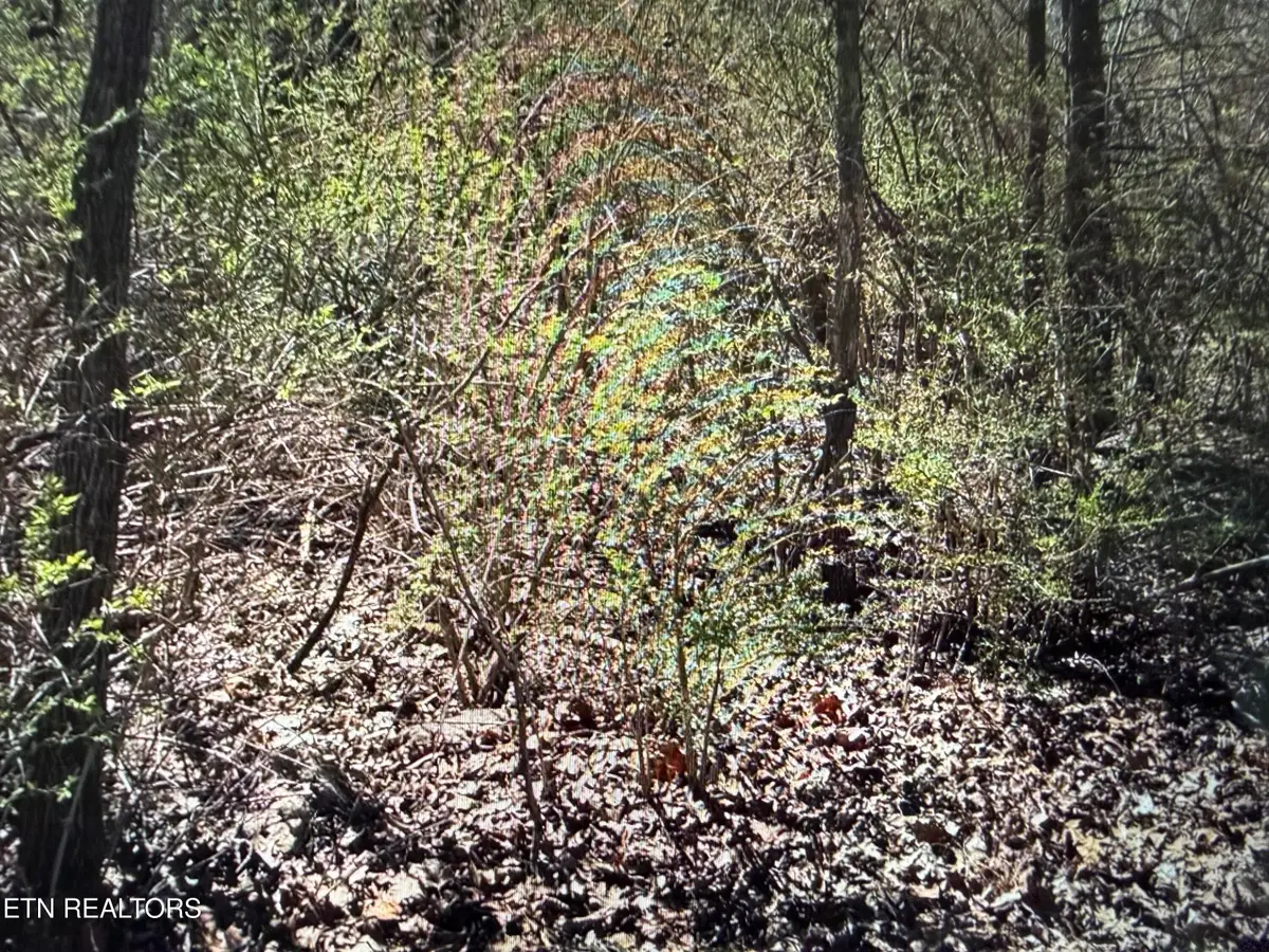 0 Tenth/knight, Crossville, TN 38555 - #1
