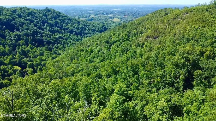 1844 Billard Way, Sevierville, TN 37876 - #3