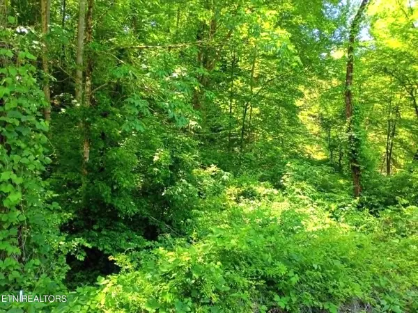 9025 Conner Rd, Powell, TN 37849