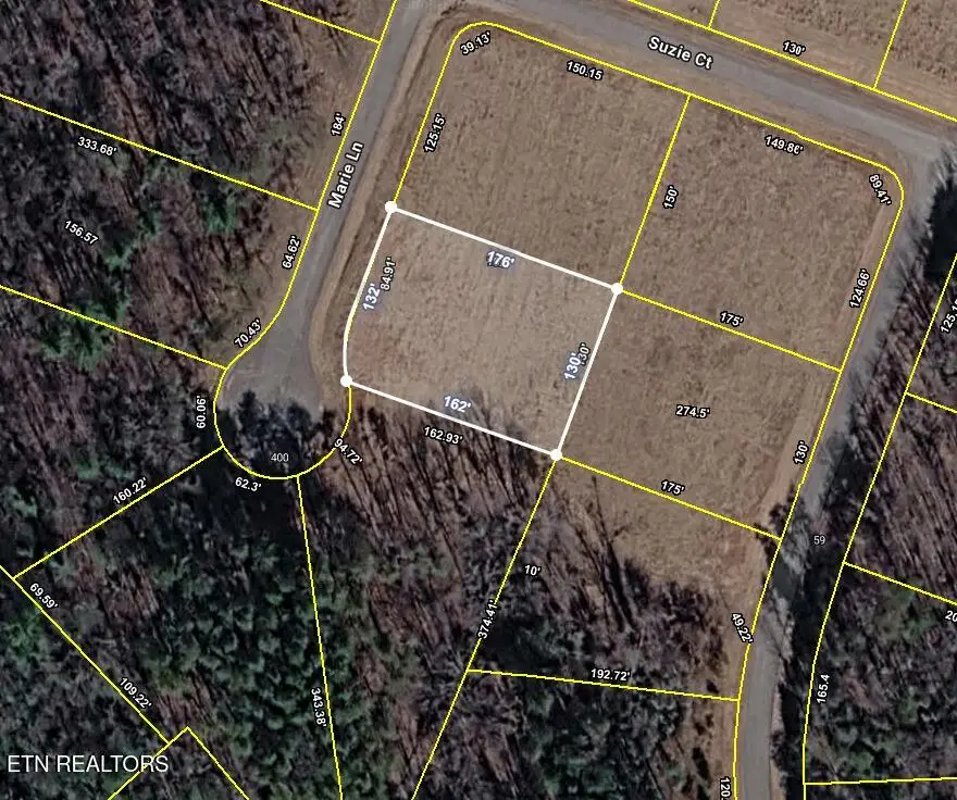 L. 78 & 79 Marie Lane, Crossville, TN 38555 - #3