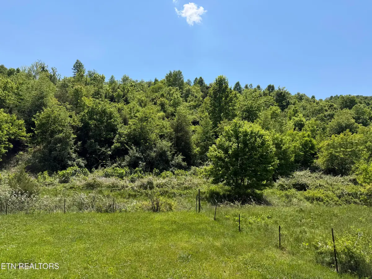 Leadmine Bend Rd, Sharps Chapel, TN 37866 - #1