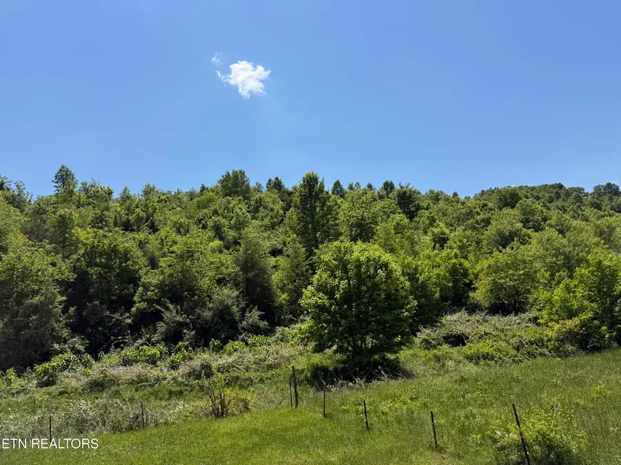 Leadmine Bend Rd, Sharps Chapel, TN 37866 - #2