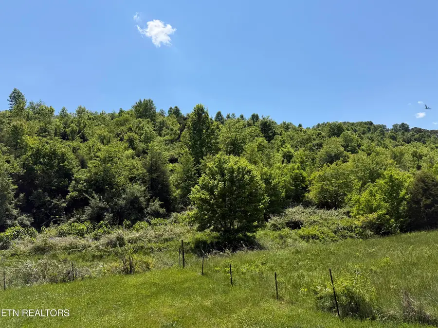 Leadmine Bend Rd, Sharps Chapel, TN 37866 - #3