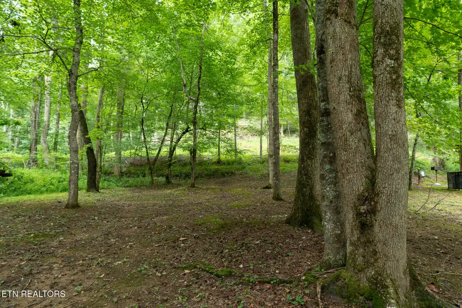 3905 Fern Brook Way Way, Sevierville, TN 37862 - #3