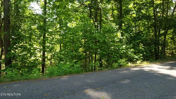 Deer Run Point #4B, LaFollette, TN 37766
