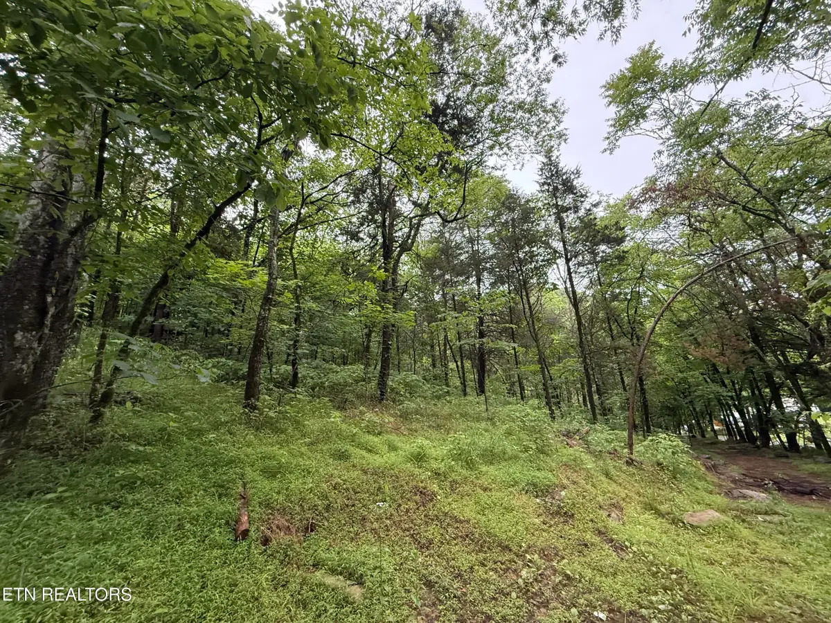 940 Riley Creek Rd, Whitleyville, TN 38588 - #1
