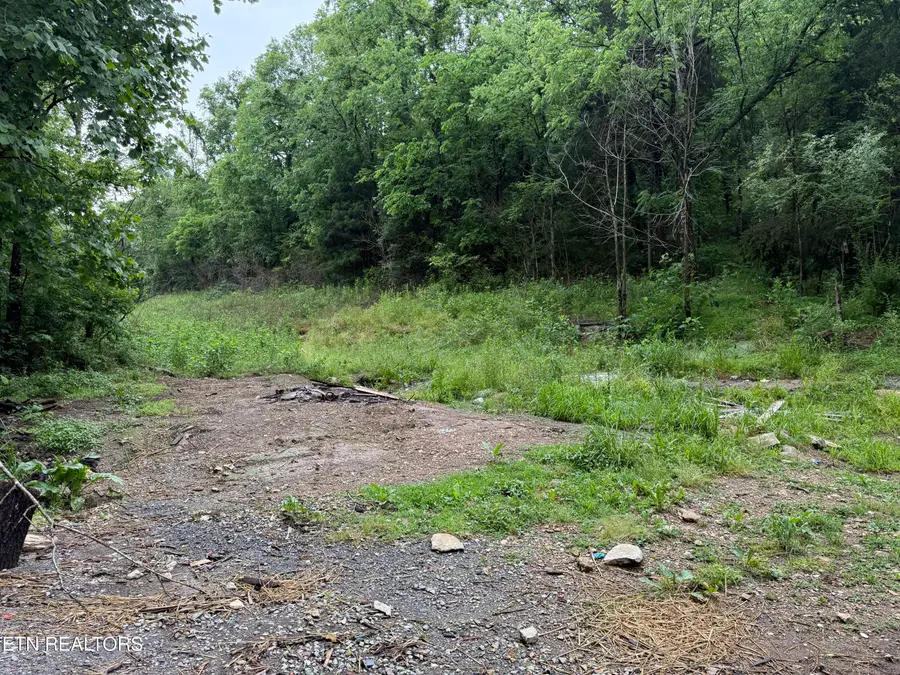 940 Riley Creek Rd, Whitleyville, TN 38588 - #3