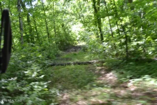 7.50AC Beauchamp Rd, Burkesville, KY 42717 - #1