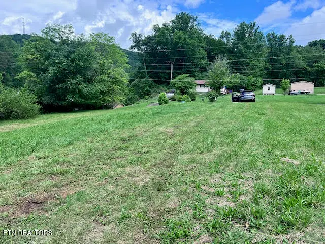 113 Smith Lane, Harriman, TN 37748 - #3