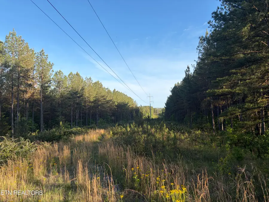 Lot 68 Black Bear Lane, Sunbright, TN 37872 - #3
