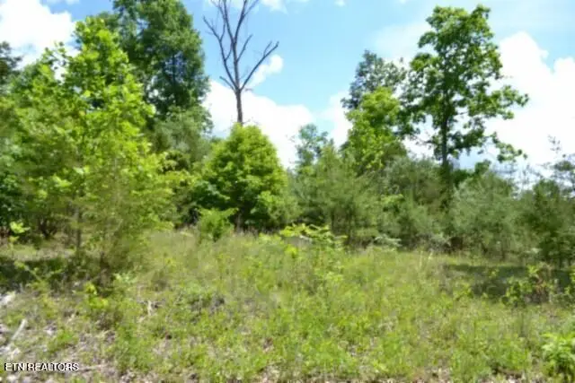31.22 Beauchamp Rd, Burkesville, KY 42717 - #1