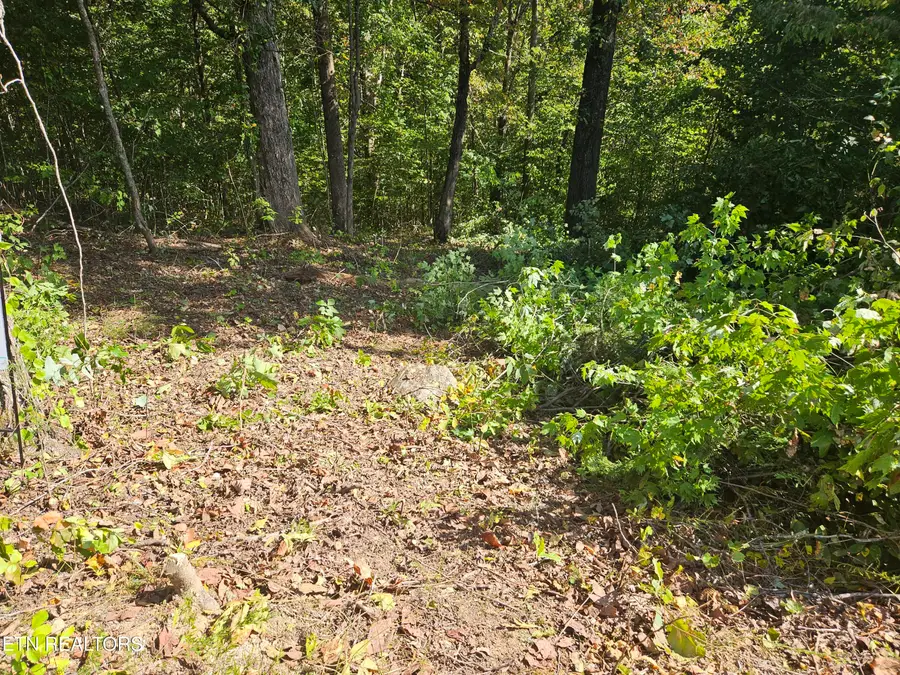 Lot 173 Saddleridge Drive, Speedwell, TN 37870 - #3