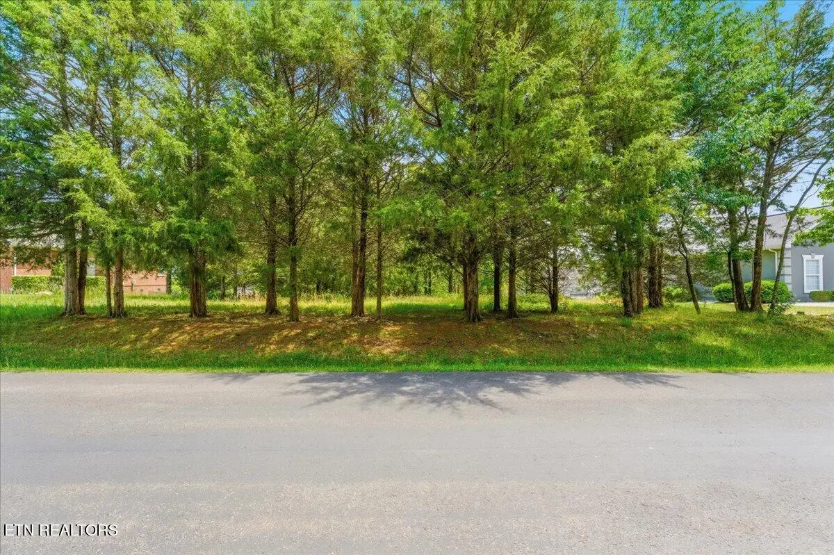 115 Eladi Tr, Vonore, TN 37885 - #1
