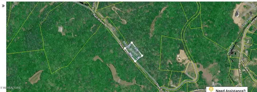 760 Black Branch Rd, Del Rio, TN 37727 - #2