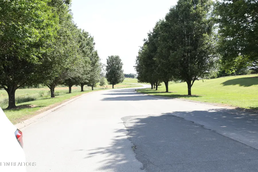 LOT 1 Magnolia Way, Madisonville, TN 37354 - #2